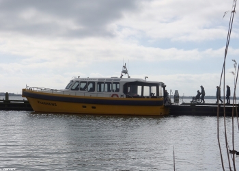 Wesley 163